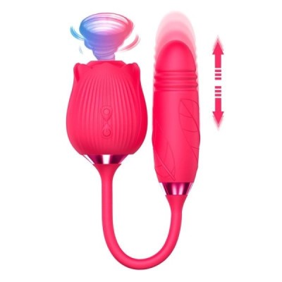 Stimulateur aspirateur de clitoris avec vibrateur de Point G Stimulateur aspirateur de clitoris avec vibrateur de Point G